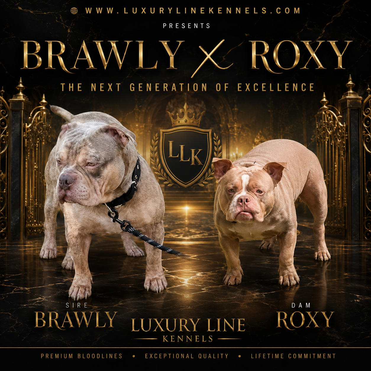 Luxury Line Kennels feature image